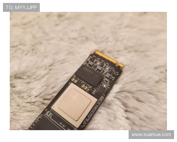 问鼎电脑版官网的最新动态与功能介绍一览